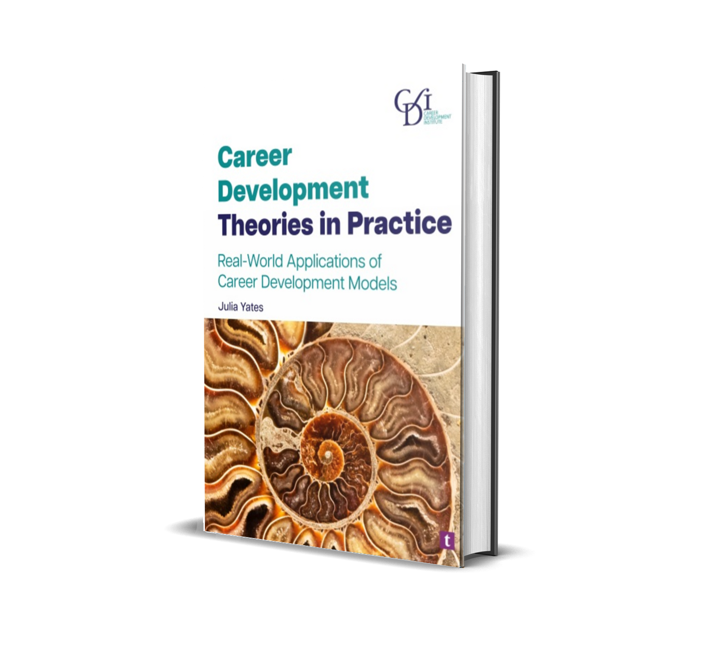 Career Development Theories in Practice: Hardback Edition