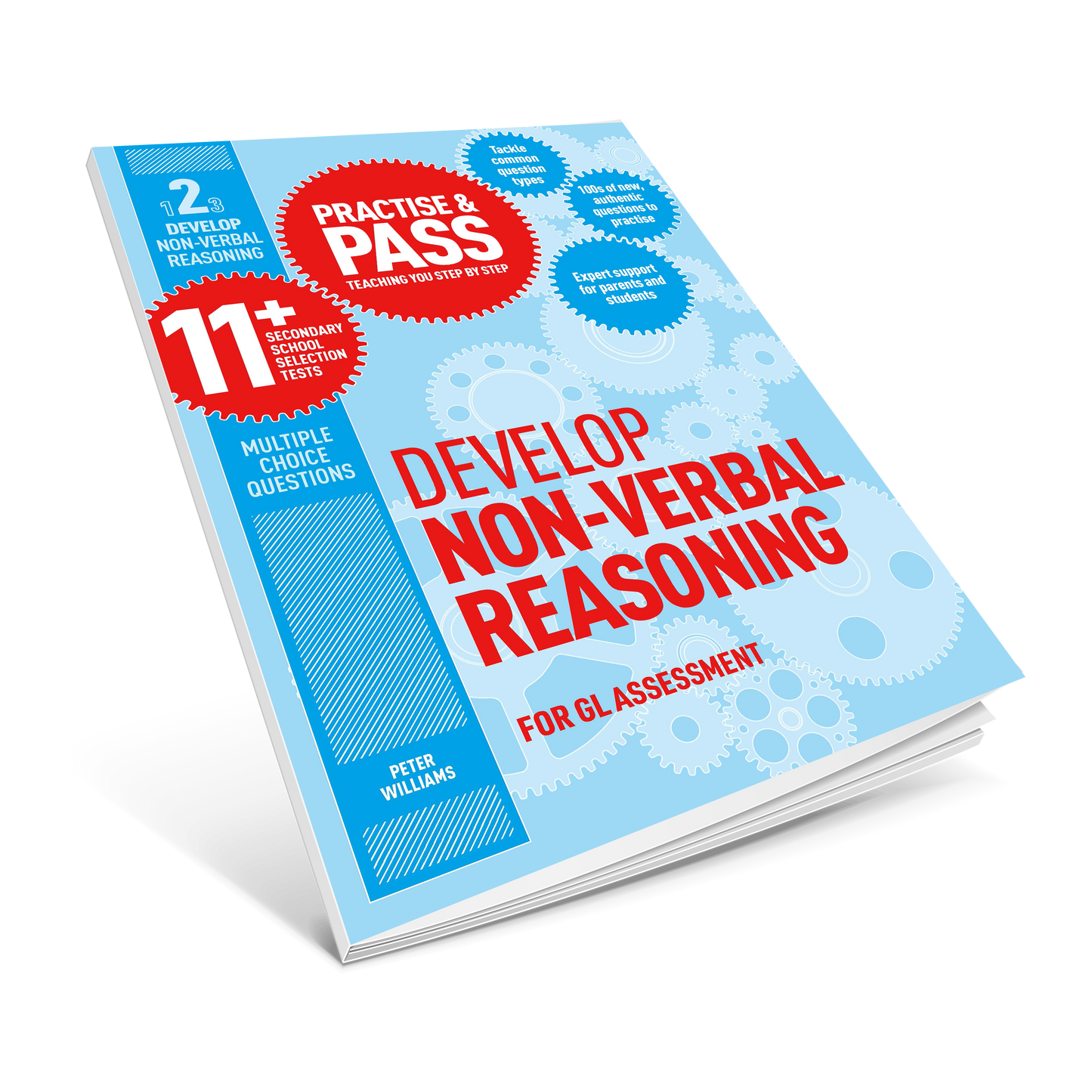 Practise & Pass 11+ Level Two: Develop Non-verbal Reasoning