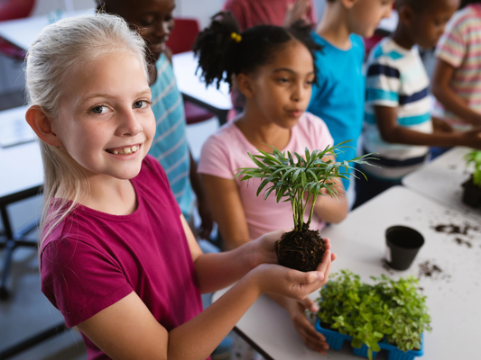 Climate Action Plan - Does your school have one?