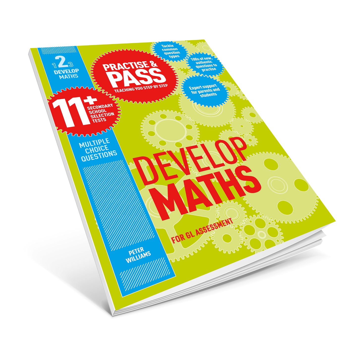 Practise & Pass 11+ Level Two: Develop Maths